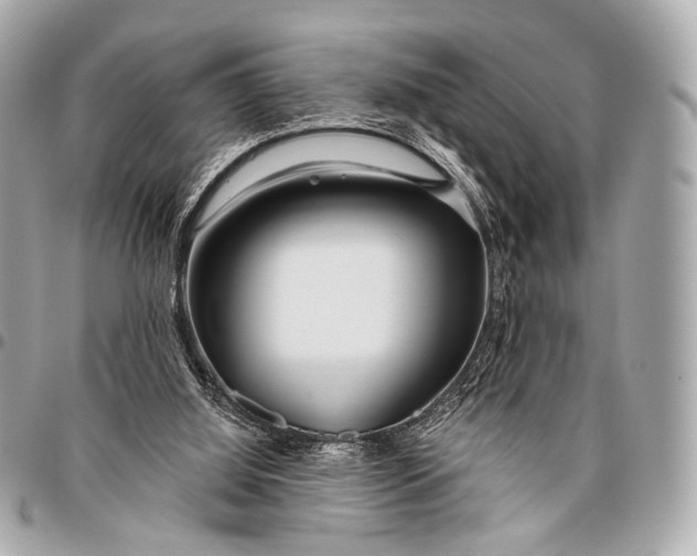 X0000096450060200802071821