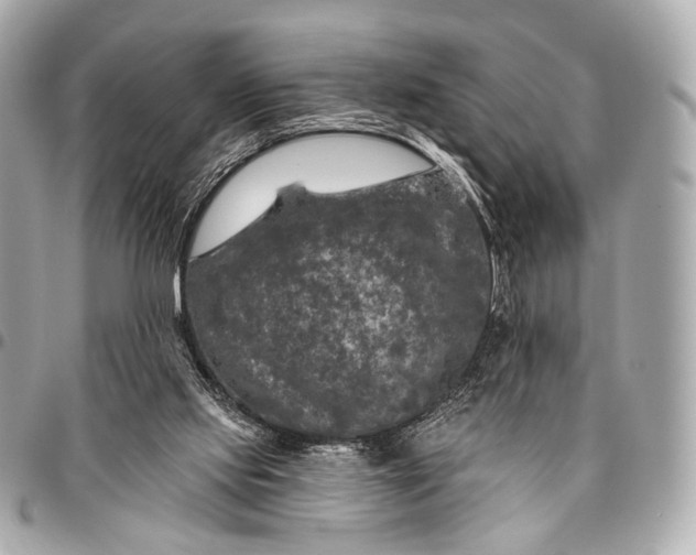 X0000096450061200802071821