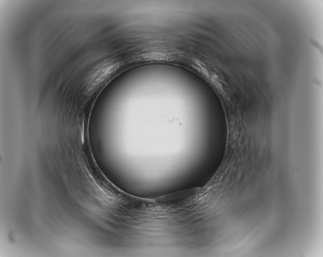 X0000096450062200802071821