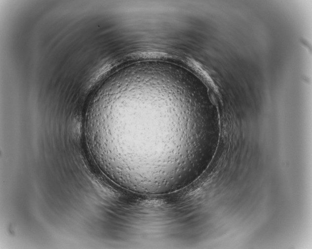 X0000096450063200802071821