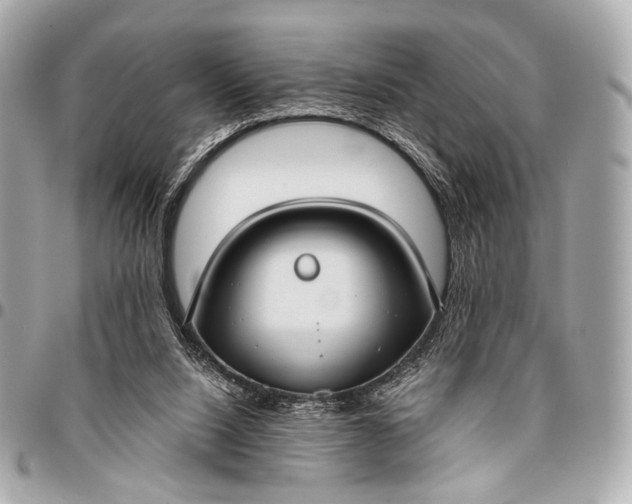 X0000096450064200802071821