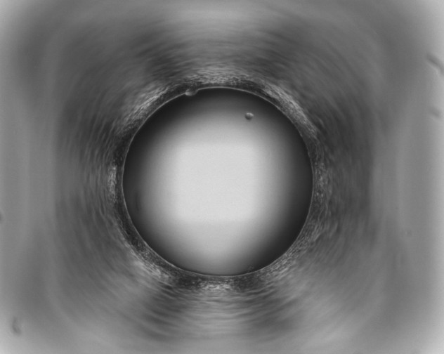 X0000096450066200802071821