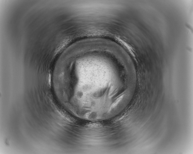 X0000096450067200802071821