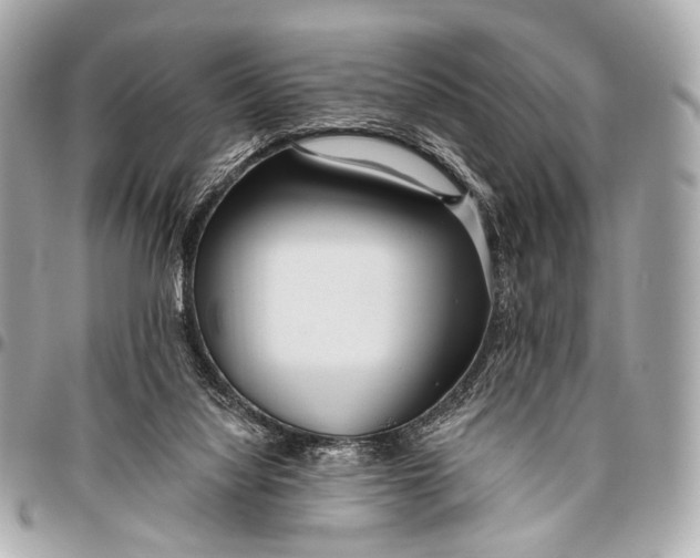 X0000096450068200802071821