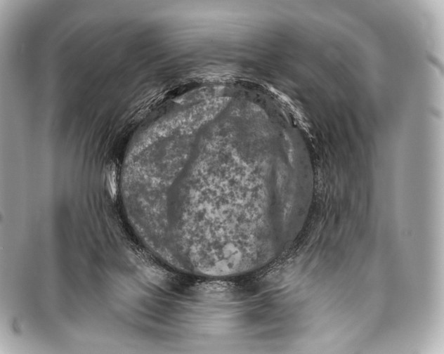 X0000096450069200802071821