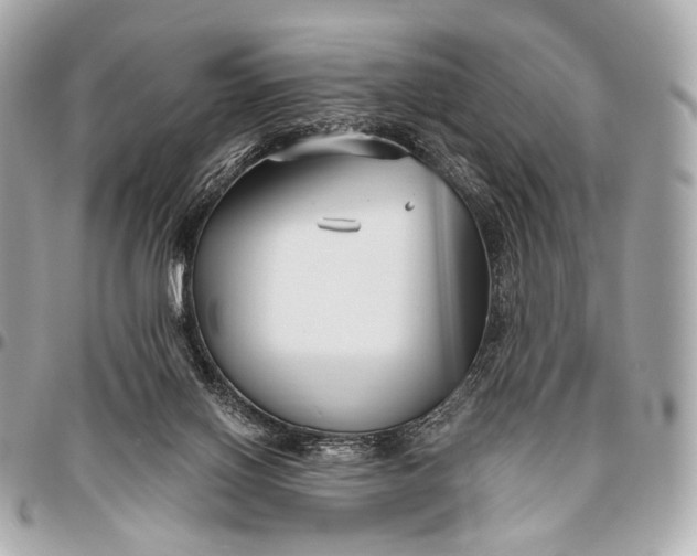 X0000096450070200802071821