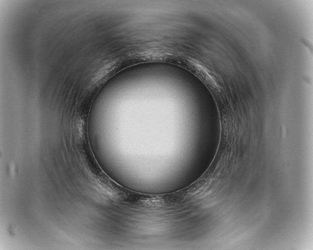 X0000096450071200802071821