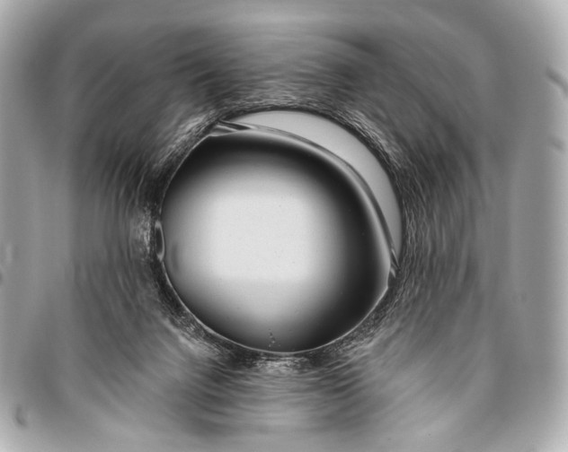 X0000096450072200802071821