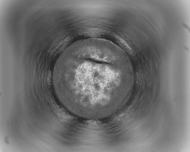 X0000096450073200802071821