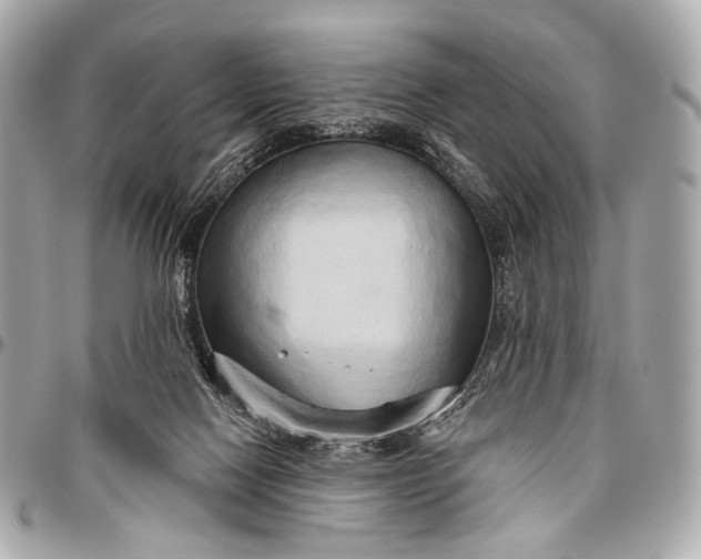 X0000096450074200802071821