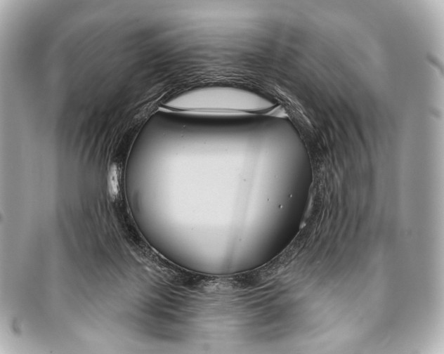 X0000096450075200802071821