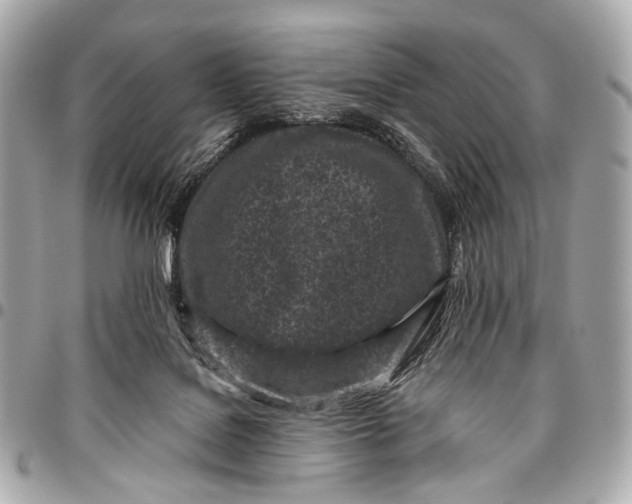 X0000096450076200802071821