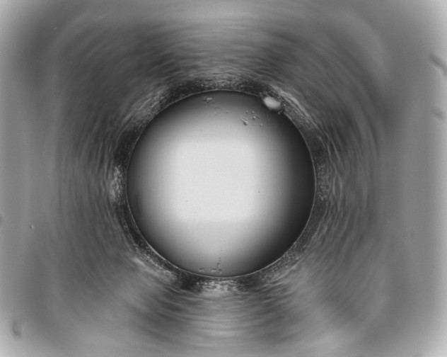 X0000096450077200802071821