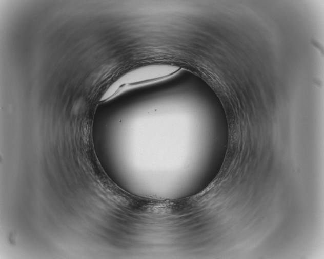 X0000096450078200802071821