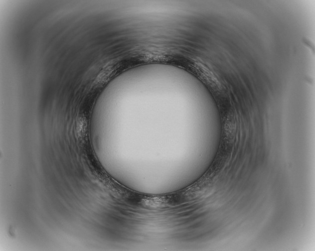 X0000096450079200802071821