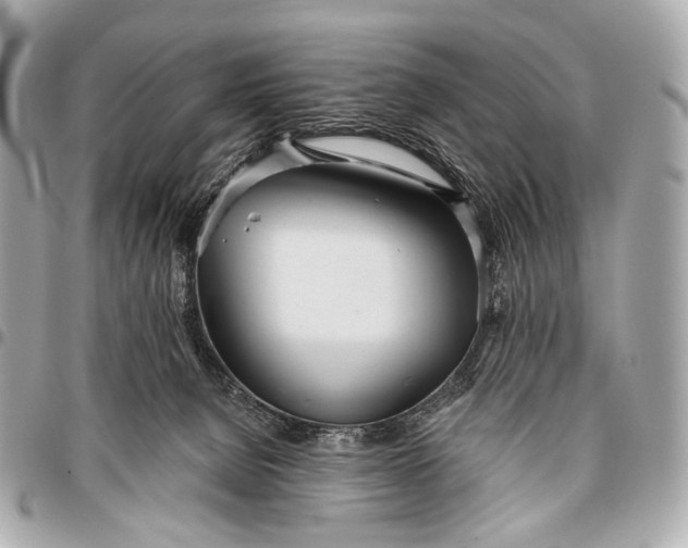 X0000096450080200802071821