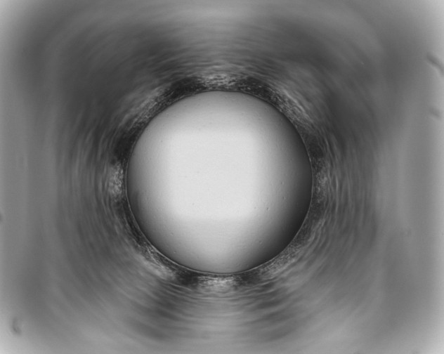 X0000096450081200802071821