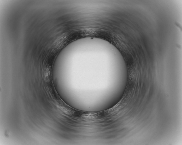 X0000096450082200802071821