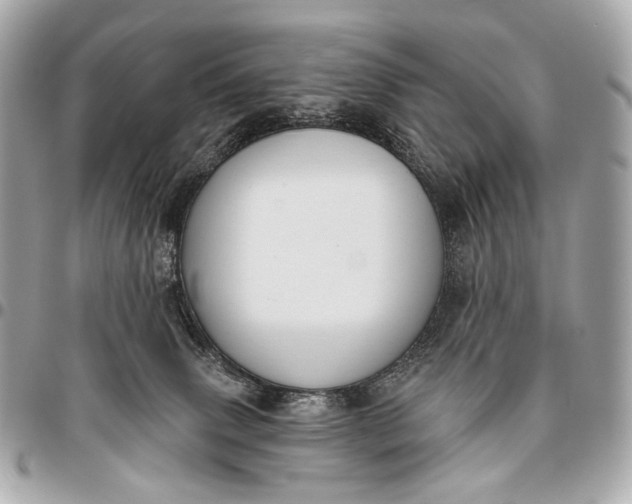 X0000096450083200802071821