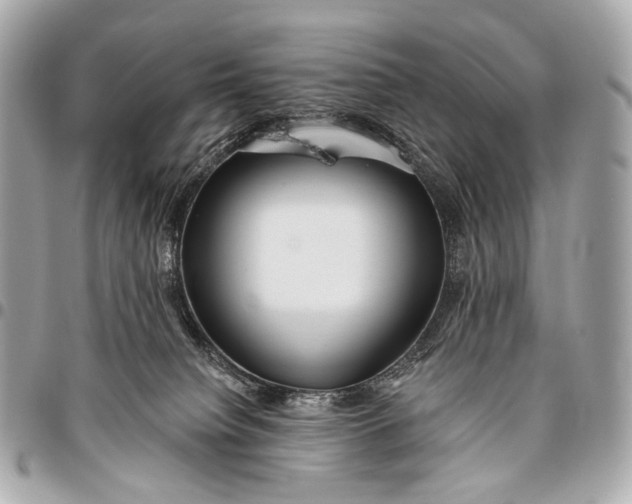 X0000096450084200802071821