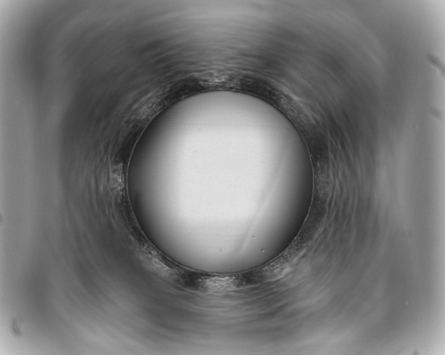 X0000096450085200802071821