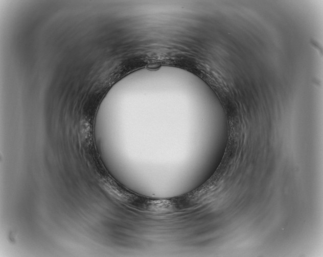 X0000096450087200802071821