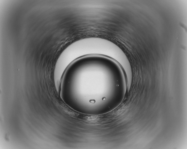 X0000096450088200802071821