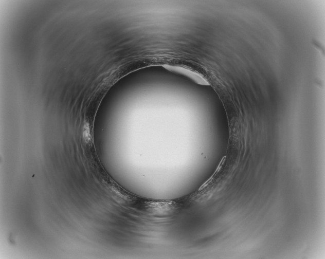 X0000096450089200802071821