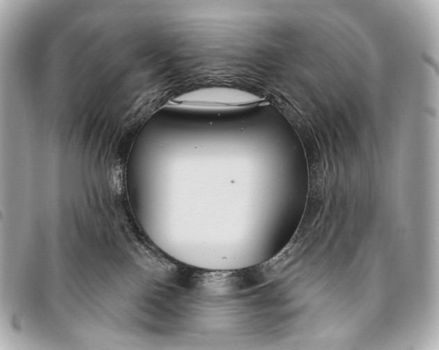 X0000096450090200802071821