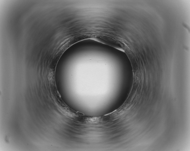 X0000096450092200802071821