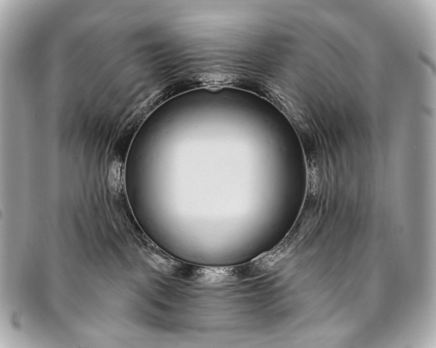 X0000096450093200802071821