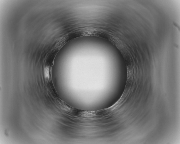 X0000096450094200802071821