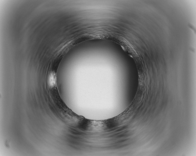 X0000096450095200802071821