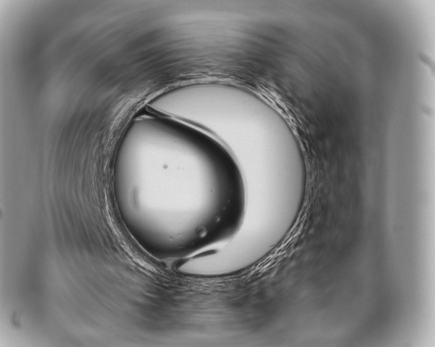 X0000096450097200802071821