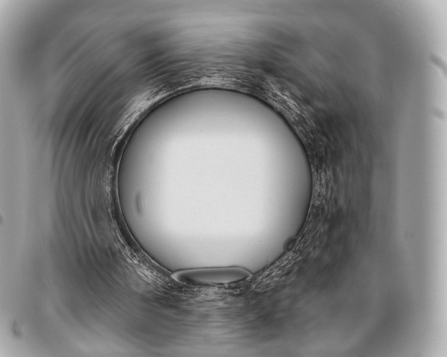 X0000096450098200802071821