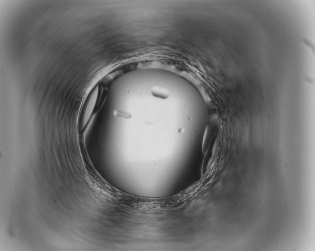 X0000096450100200802071821