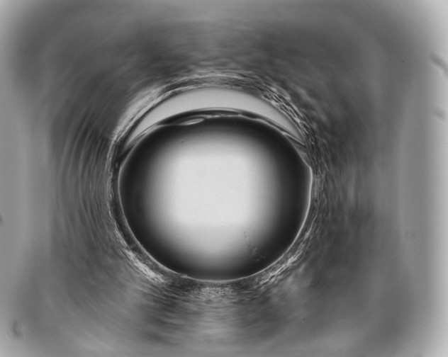 X0000096450101200802071821