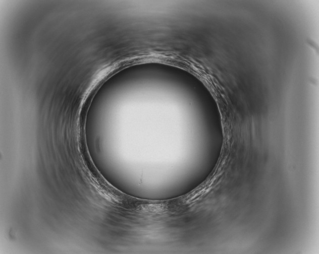 X0000096450102200802071821