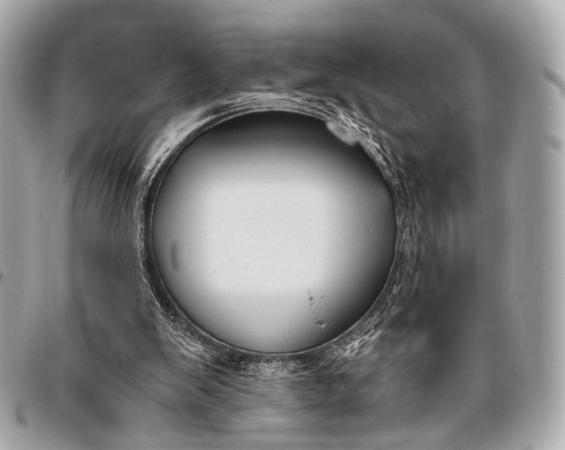 X0000096450103200802071821