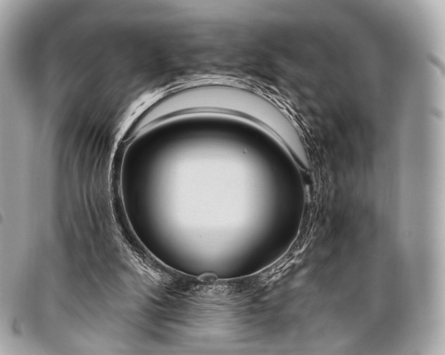 X0000096450104200802071821