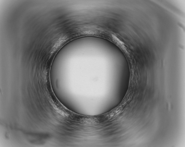 X0000096450106200802071821