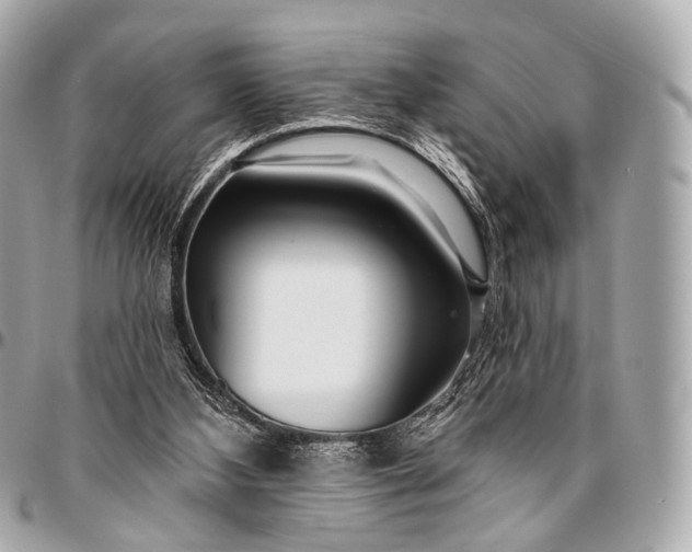 X0000096450108200802071821