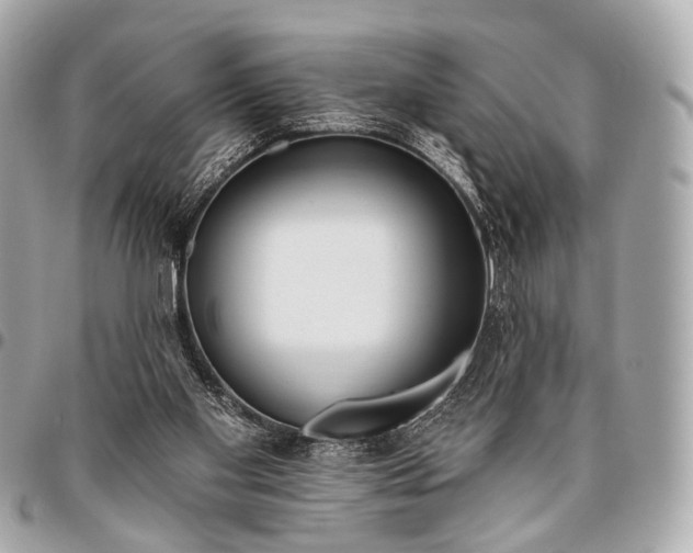 X0000096450109200802071821