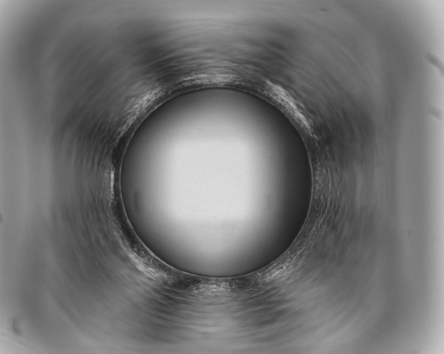 X0000096450110200802071821