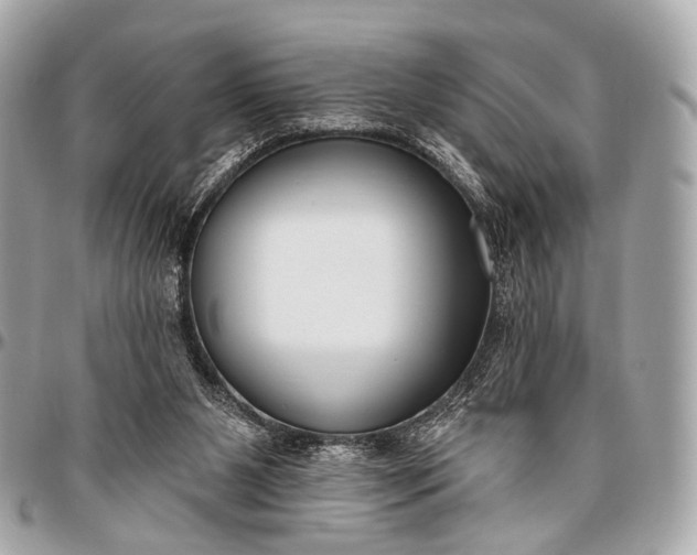 X0000096450111200802071821