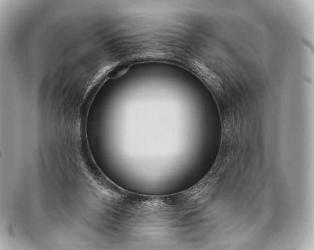 X0000096450112200802071821