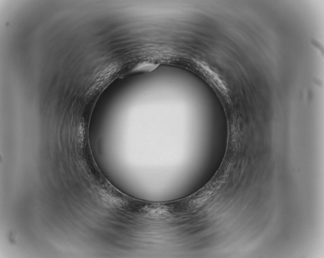 X0000096450113200802071821