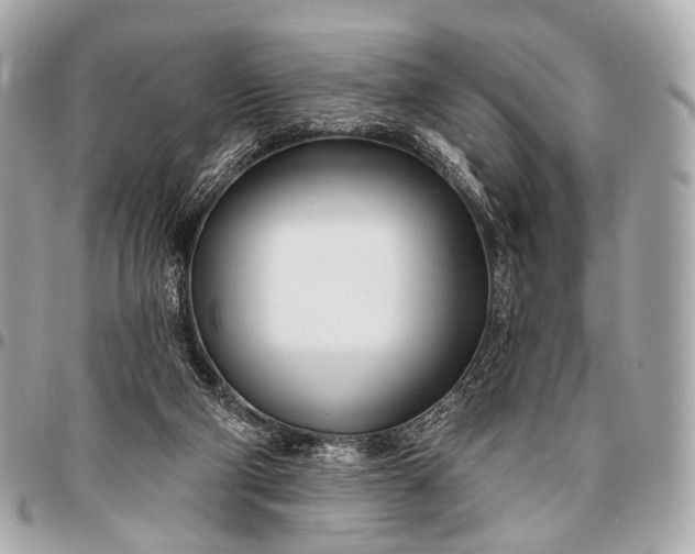 X0000096450114200802071821