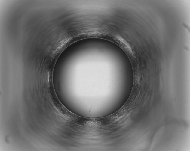 X0000096450115200802071821