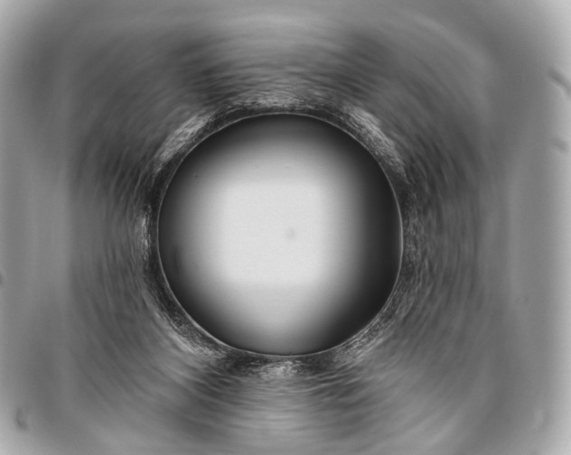 X0000096450116200802071821